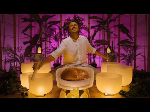 Reconnect with Joy | A Sound Bath Just for You
