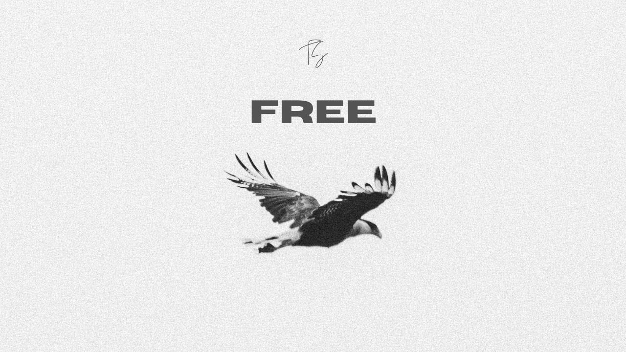 Watch Thesanity - FREE (Official Audio) (Prod. Ross Gossage) on YouTube Watch Thesanity - FREE (Official Audio) (Prod. Ross Gossage) on YouTube