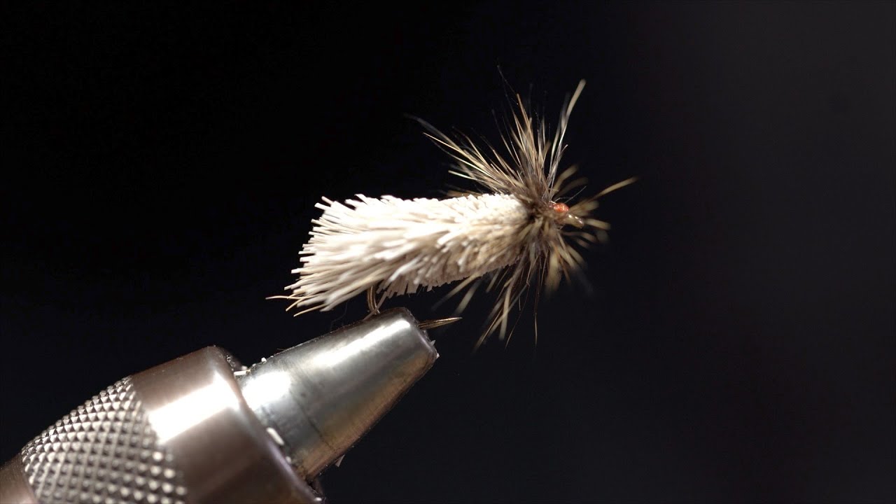 Sedge façon Goddard .