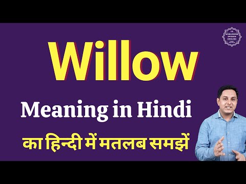 Willow Meaning In Hindi | Willow Ka Matlab Kya Hota Hai