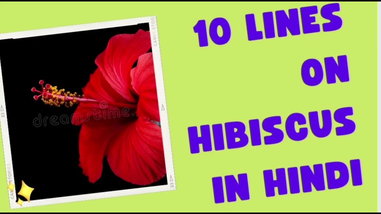 10 Lines On Hibiscus Flower In Hindi