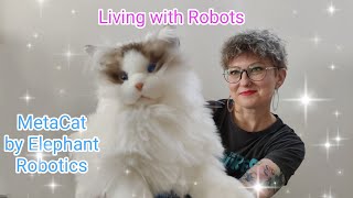 New metacat 2023 voice commands and eye animations #cat #robot #unboxing #review #cute #funny #pet
