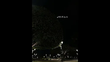 حاله واتس بتسرق كل اوقاتي AMR Diab 
