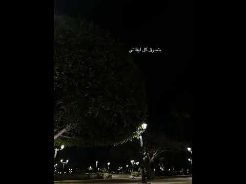 حاله واتس بتسرق كل اوقاتي AMR Diab 