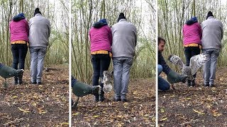 Super Agile Owl In Slow Motion