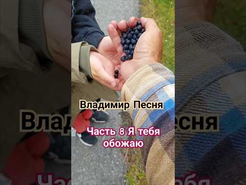 Владимир Песня / Я тебя обожаю #песнябомба #шортс #shorts