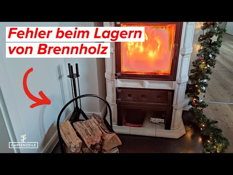 Video: Kannst du Birke verbrennen?