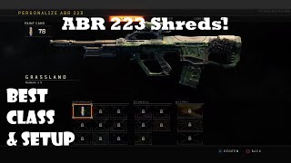 Black Ops 4 Blackout | Best Gun and Best Class Setup!