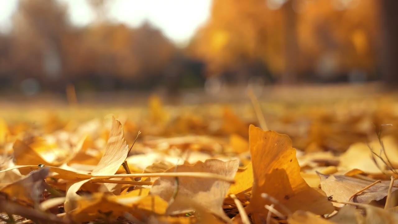 You Are Not Alone In This Fight