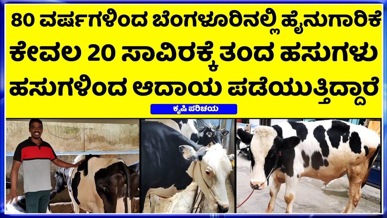 EP-01 Successful Dairy Farm ||  ಇವುಗಳಿಂದಲೇ ಲಕ್ಷ ಲಕ್ಷ ದುಡಿತೀನಿ ||  Cow farming kannada