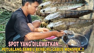 SPOT YANG DILEWATKAN... PETUALANG SAMBIL BERBURU GABUS MONSTER..!!