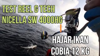 TEST Reel G TECH NICELLA SW 4000HG HAJAR Ikan COBIA 12KG