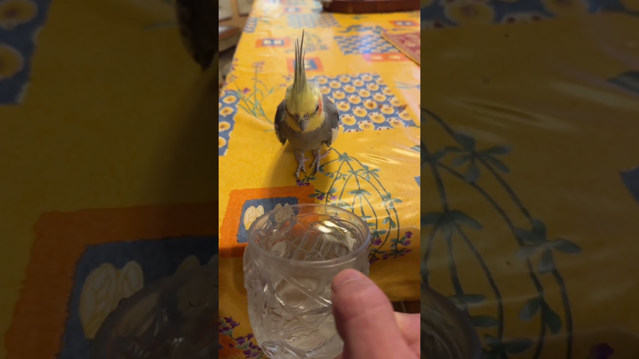 Coming in on that Friday sip 