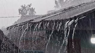 Download Lagu Dompel jezelf onder in het geluid van hevige regen | 2 uur rustgevende regengeluiden voor een diepe MP3 Download Lagu Dompel jezelf onder in het geluid van hevige regen | 2 uur rustgevende regengeluiden voor een diepe MP3