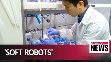 Local researchers develop soft robot that changes its color and shape