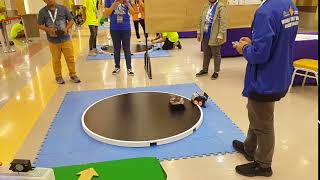 Sumo Robot Ep63; Philippines X Philippines; World Robot Game 2019