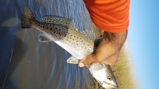 Kayak Fishing Lake Hermitage