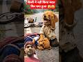 मदत करने से सब ने किया इनकार 😱😱#shorts #aivideo #aiart