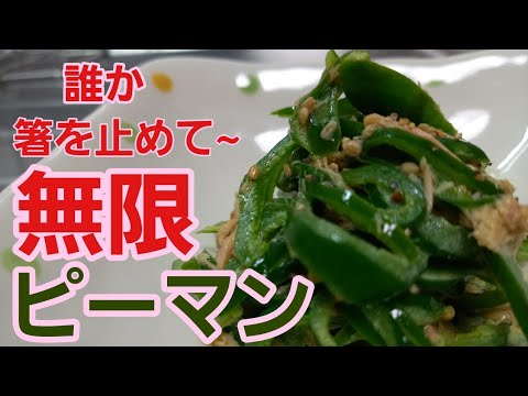 【無限ピーマン】美味しくて箸が止まらん！作り置きにも最適♪