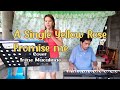 YELLOW ROSE /PROMISE ME DOUBLE STEP - ( Cover by Irene Macalinao ) 6th String BAND