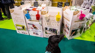 Crufts 2023 Vlog and Haul | Taking My Working Cocker Spaniel To Our First Ever Crufts!