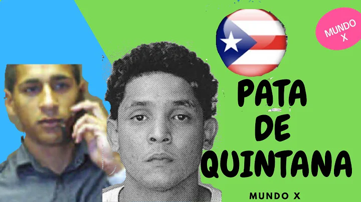 PATA DE QUINTANA