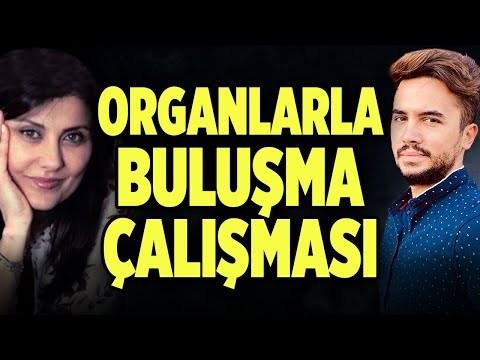 Hastalıklar İçin Kullanabileceğimiz Organlarla Buluşma Çalışması | Mira Şeniz Erten Soner Tan Tığlı