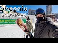 Early Season Skiing at Phoenix Park Resort Korea