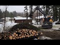 Puiden kaatoa felling of trees volvo ewr150e  engcon