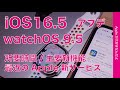 レシオ！ - 【速報】iOS/iPadOS 16.5/watchOS 9.5アップデート・所要時間と新機能＆最近のApple新サービス
