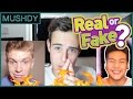 Realysis joe weller and vjamahhs mental asylum real or fake