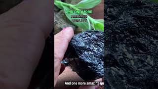 Unlock the Power of Black Tourmaline: Grounding and Protection Crystal