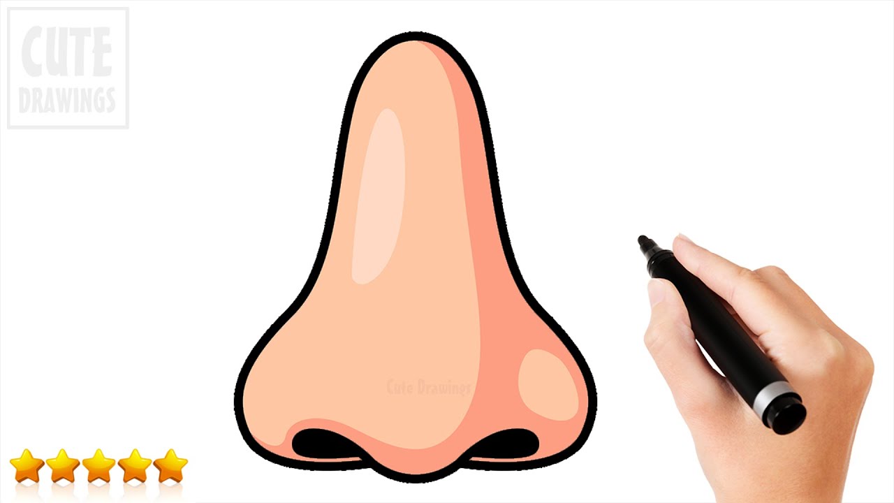 Easy Step-by-Step Nose Drawing Tutorial for Beginners! - YouTube