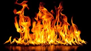 FIRE IN THE WOODS: Flesh Vs Spirit by Joe Pinto