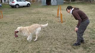210314 Gofri 1