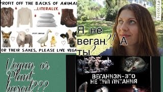 Почему я больше не ВЕГАН!?!  Что??/А ты уверен что ты веган?