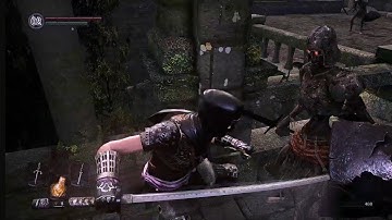 Demonstration Video - DS 1 mod