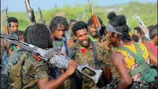 Doohee Doohee Jaal Baroodaa Sabaa New Afaan Oromoo Music (2023  )