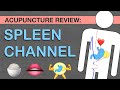 Points review spleen channel acupuncture meridian