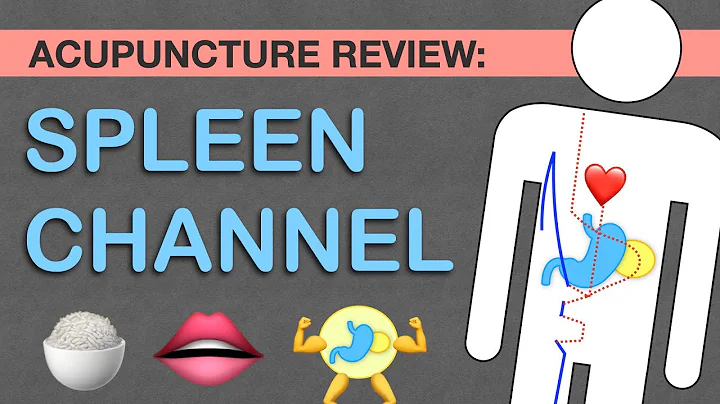 Points Review: Spleen Channel Acupuncture Meridian - DayDayNews