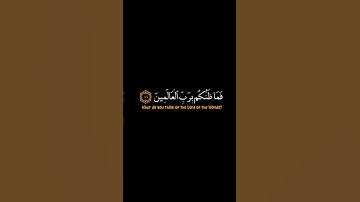 كرومات قران شاشه سوداء| القارئ: عاصم الحيدان| فما ظنكم برب العالمين....