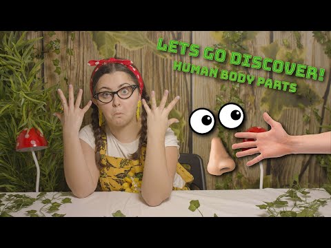 Learn About the Human Body English Key Stage 1 - Tiny Treehouse TV