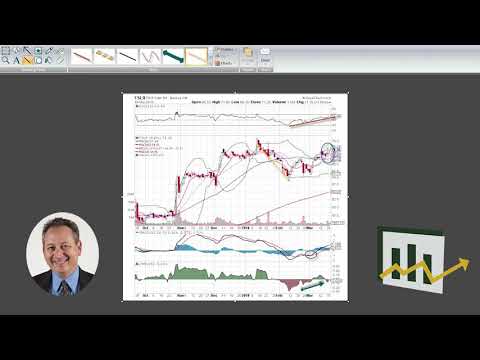 Fslr stock options
