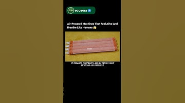 The Soft Robot That Moves Like Real Human Muscles😱 #robotics #science #future #innovation