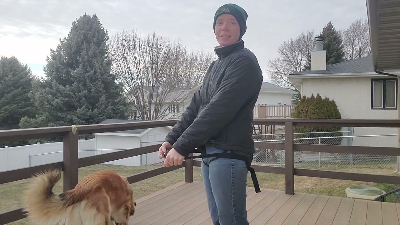 Canicross belt review