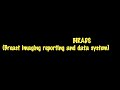 BIRADS (Breast imaging reporting and data system)