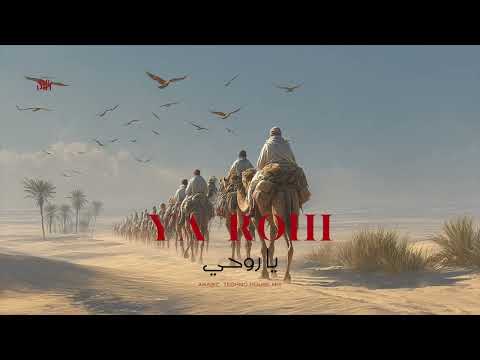 Ya Rohi يا روحي Arabic Techno House Mix SNX 