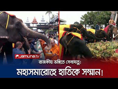 ভিডিও: ক্যাসেট থেকে প্রতিকৃতি। আইআরআই 5 শিল্পীর মূল কাজ