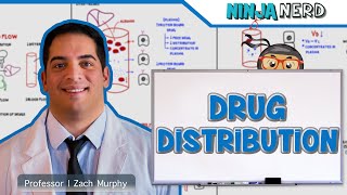 Pharmacokinetics | Drug Distribution