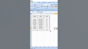 Calculate Age In Excel 2024|#shorts #short #exceltips